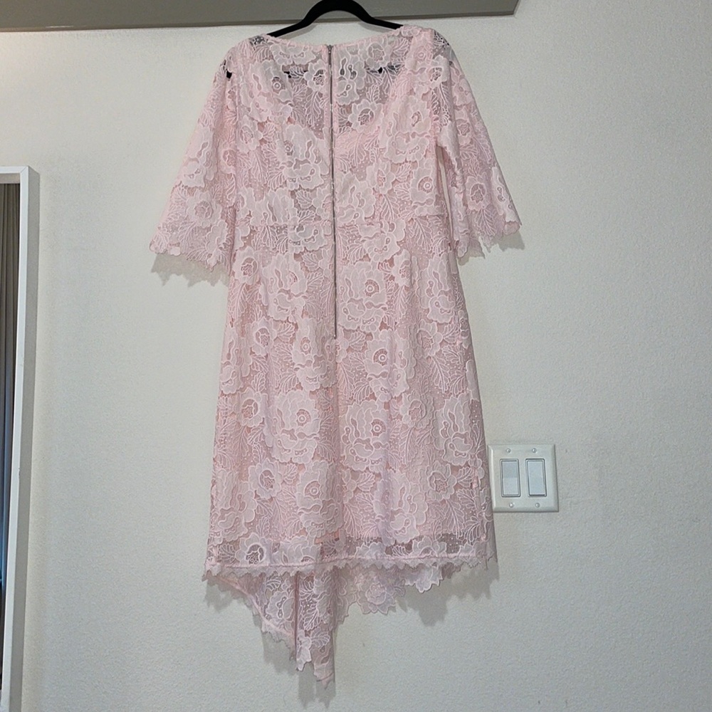 Nanette Lepore Bailamos Lace Asymmetrical Hem Dress in Pale Pink SZ 10 NWT - Picture 4 of 8